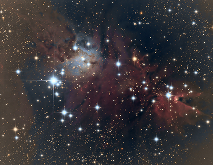 NGC2264